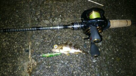 極寒のライトゲーム