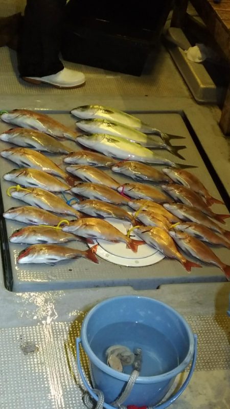 明石海峡タイラバ釣行