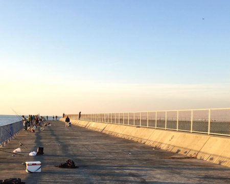 カワハギ面白すぎ！