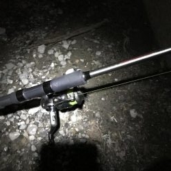 タチウオまだまだ