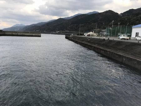 サビキでアジ釣り