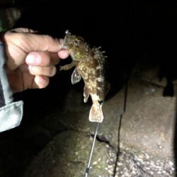 メバリングランガンのはずが…