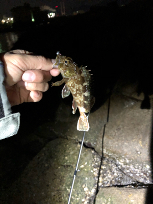 メバリングランガンのはずが…