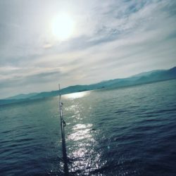 ヤリイカランガンエギング