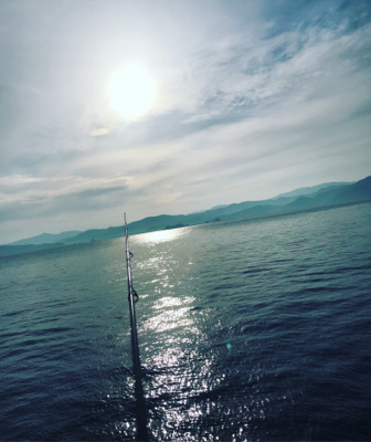 ヤリイカランガンエギング