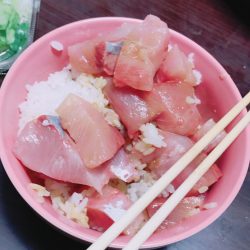 サゴシばかり…