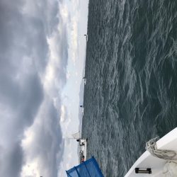 ガシラッシュ(船釣りバージョン)