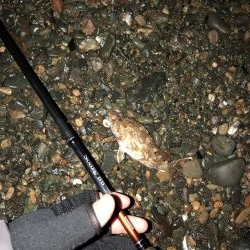 カサゴが良く釣れます。
