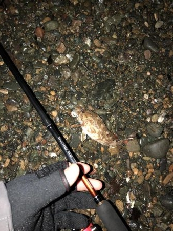 カサゴが良く釣れます。