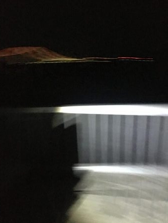 群れはこないタチウオ君