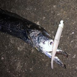 外は爆風、極寒!その中で奴は現れた…