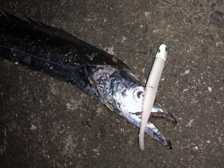 外は爆風、極寒!その中で奴は現れた…