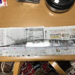 今年の釣り納めにドラゴン