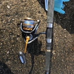 12月初の！！！ アイツ。