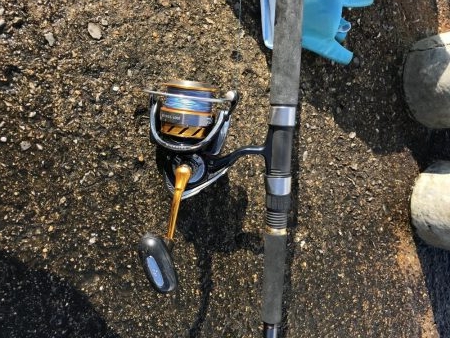 12月初の！！！ アイツ。