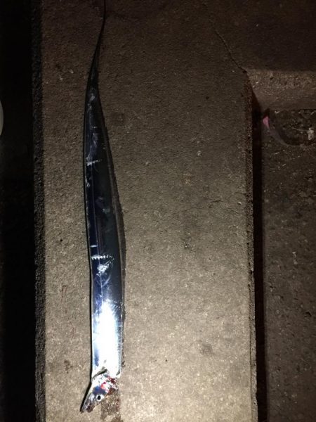 時間によりけり