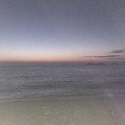 スローリトリーブで太刀魚