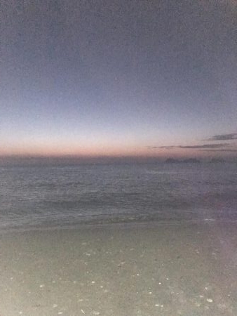 スローリトリーブで太刀魚