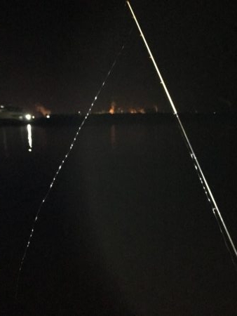 メバルを探したけど