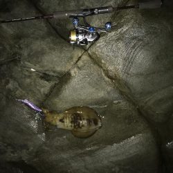 あっ!忘れてきたぁ・・・