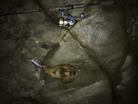 あっ！忘れてきたぁ・・・