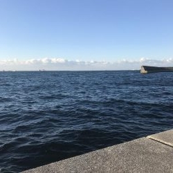 寒すぎてつらいけど