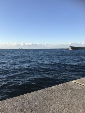 寒すぎてつらいけど