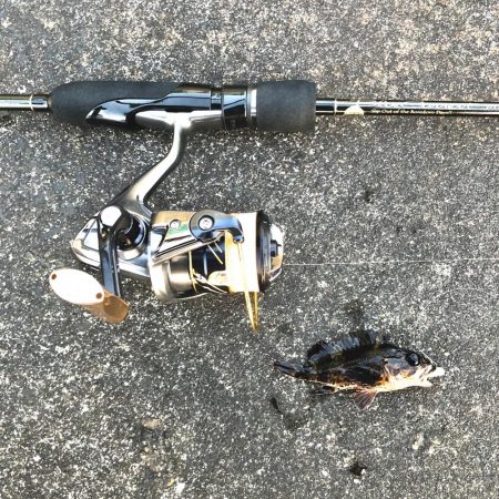 マイクロックフィッシュ