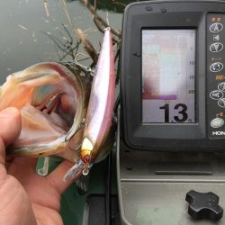 冬のランカーバス