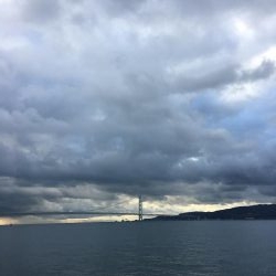 ニシキハゼが初めて釣れました