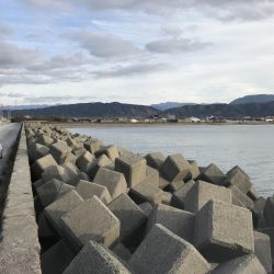 雑魚がちょこっと