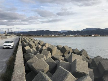 雑魚がちょこっと