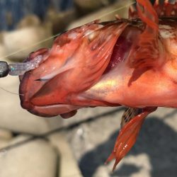 あたりが欲しくて！