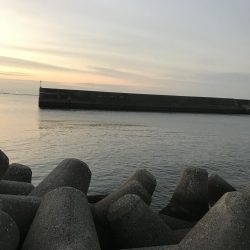 短時間でよく釣れました