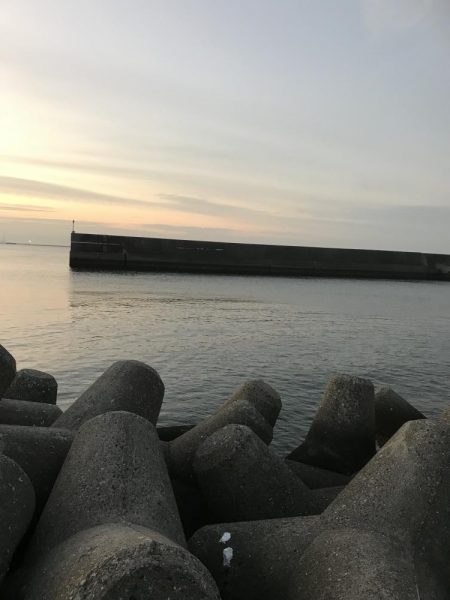 短時間でよく釣れました