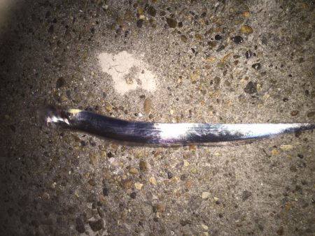 まさかのタッチー！