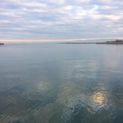 タチウオ 小さいですがまだ釣れてます