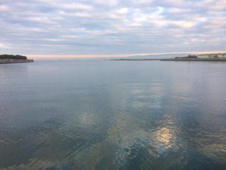 タチウオ 小さいですがまだ釣れてます