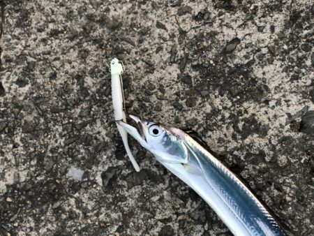 時合いはたったの15分!?価値ある4本