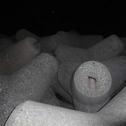 ガッシー20cm↑2匹 黒ソイ18cmくらい獲ったどぉ