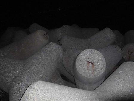 ガッシー20cm↑2匹 黒ソイ18cmくらい獲ったどぉ