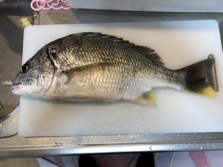 初めてのルアー釣果