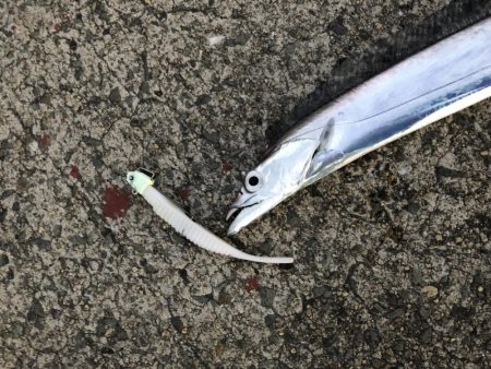 外は爆風、極寒の中の気合のフラップ釣法