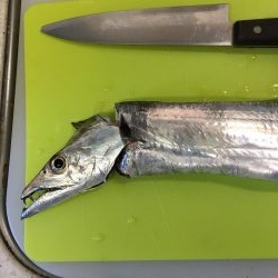 空いてるポイントで