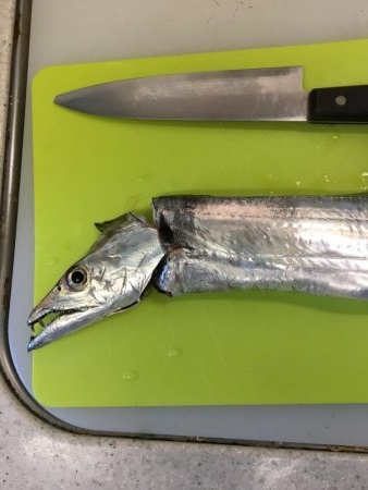 空いてるポイントで