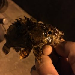 極寒のガシリングで6目釣り