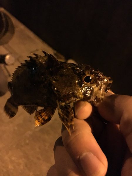 極寒のガシリングで6目釣り