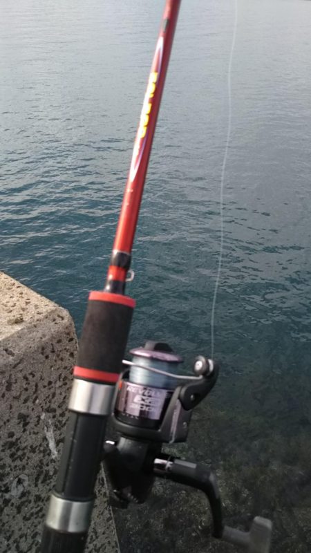 カレイが釣りたい