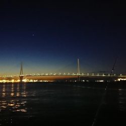 タチウオ釣ってみたい(;_;)