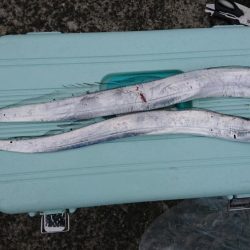 ちゃいちいタッチ－